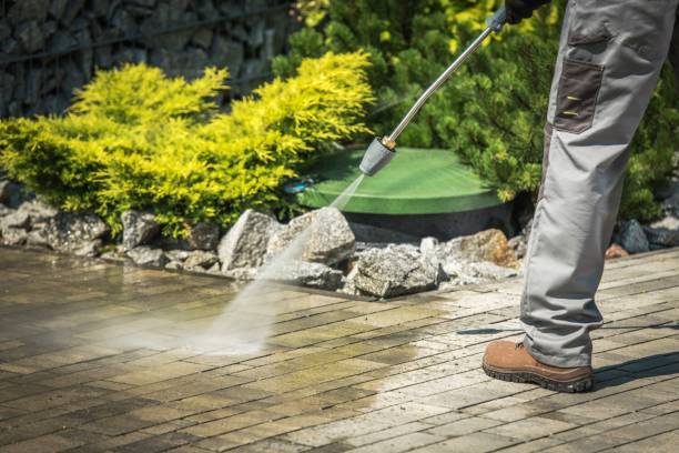 Best Sidewalk and Walkway Cleaning  in Larkspur, CA