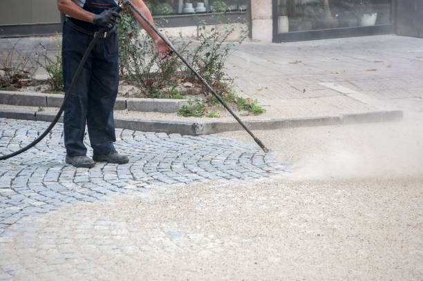Best Pre-Holiday Cleaning  in Larkspur, CA