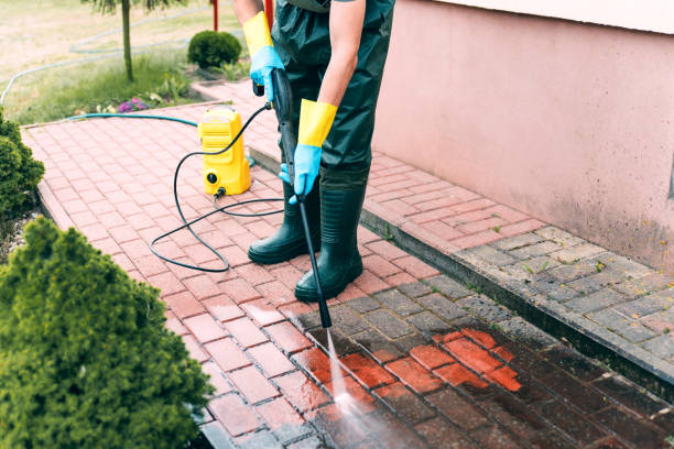 Animal Enclosure Cleaning in Larkspur, CA