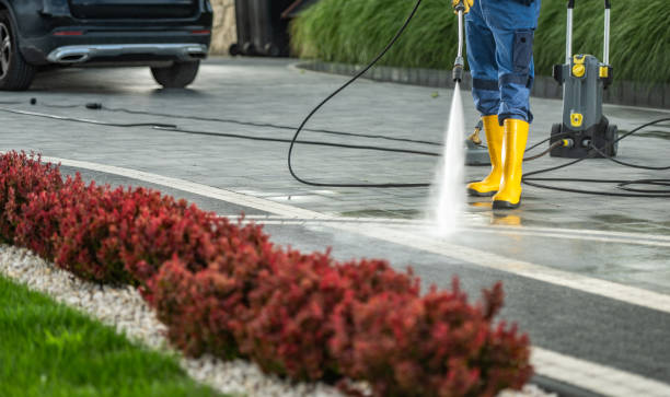 Best Oil Spill Cleanup  in Larkspur, CA